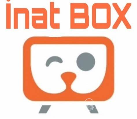 İnat tv Pro apk İndir – İnat Box Son Sürüm İndir İnat TV 2024